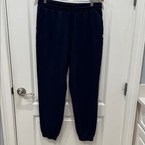 Fabletics Navy Jogger Pants